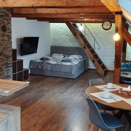 Apartman Albreit 2 Jáchymov Extérieur photo