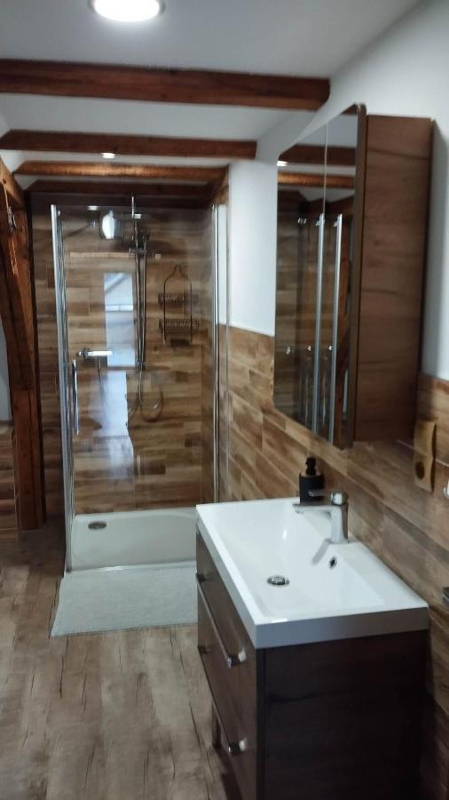 Apartman Albreit 2 Jáchymov Extérieur photo